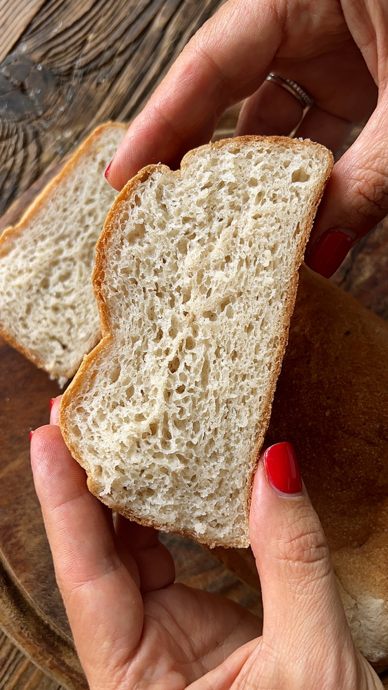לחם ללא גלוטן כשר לפסח