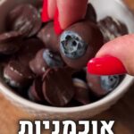 חטיף אוכמניות קפוא בשוקולד ויוגורט